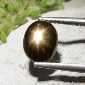 9,17 ctw natürlicher Schwarz Sternsaphir, Oval Schliff, Lichtundurchlässig