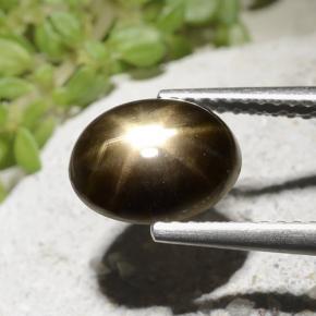 9,17 ctw natürlicher Schwarz Sternsaphir, Oval Schliff, Lichtundurchlässig