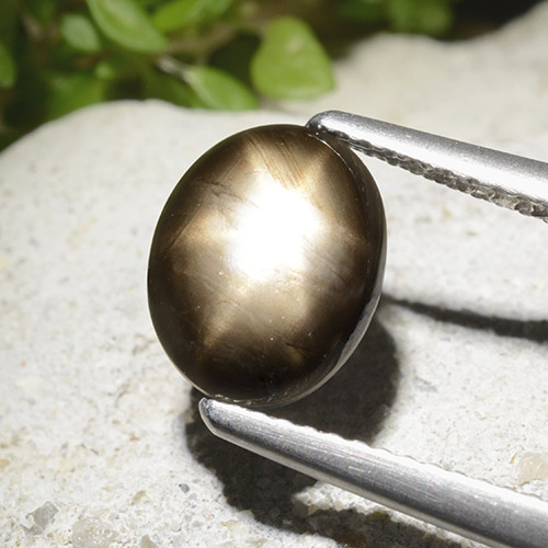 2,78 ctw natürlicher schwarzer Stern-Saphir, Oval Schliff, Lichtundurchlässig