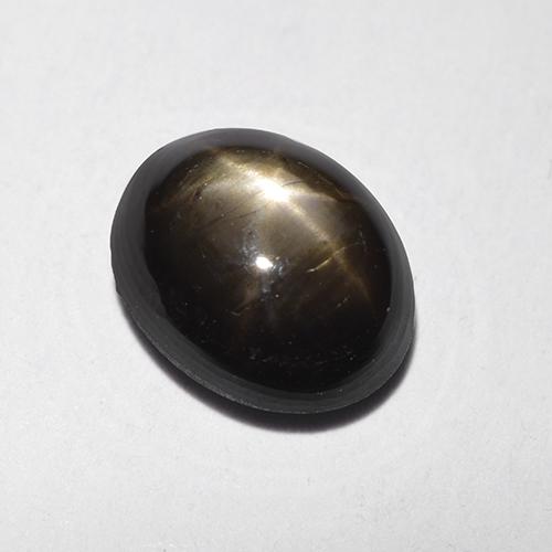 9,17 ctw natürlicher Schwarz Sternsaphir, Oval Schliff, Lichtundurchlässig