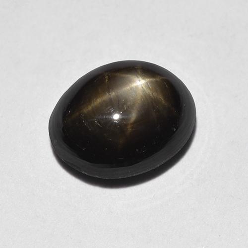 9,17 ctw natürlicher Schwarz Sternsaphir, Oval Schliff, Lichtundurchlässig