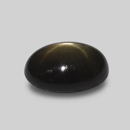 1,62 ctw natürlicher schwarzer Stern-Saphir, Oval Schliff, Lichtundurchlässig