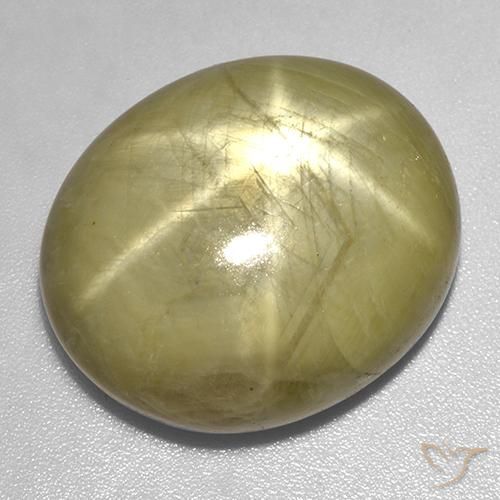 46.06ct Natürlicher gold-gelb Sternsaphir, Oval, Lichtundurchlässig