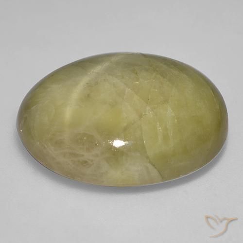 9,17 ctw natürlicher gold-gelb Sternsaphir, Oval, Lichtundurchlässig