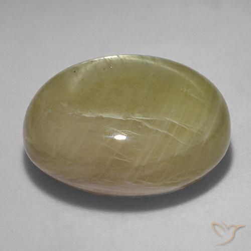 9,17 ctw natürlicher gold-gelb Sternsaphir, Oval, Lichtundurchlässig