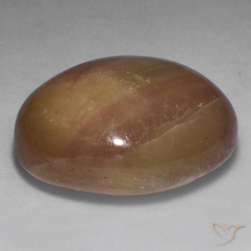 9,17 ctw natürlicher Orangenes Gold Sternsaphir, Oval, Lichtundurchlässig