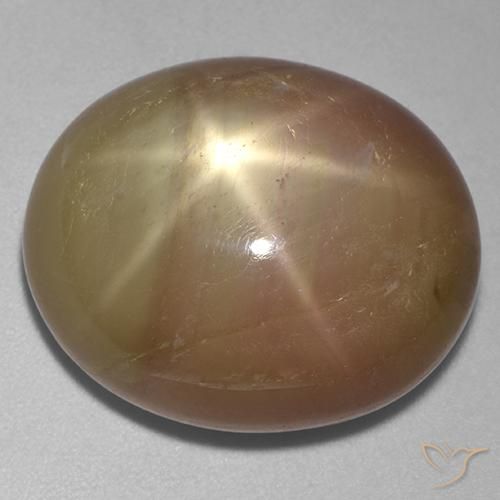 31.95ct Natürlicher Orangenes Gold Sternsaphir, Oval, Lichtundurchlässig