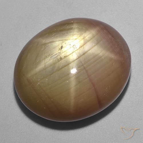 40.06ct Natürlicher Orangenes Gold Sternsaphir, Oval, Lichtundurchlässig