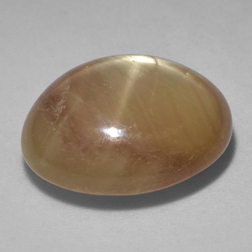 9,17 ctw natürlicher Orangenes Gold Sternsaphir, Oval Schliff, Lichtundurchlässig