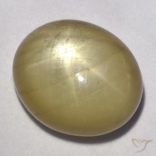 9,17 ctw natürlicher Mittelgelb Sternsaphir, Oval, Lichtundurchlässig