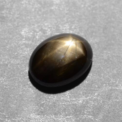 1,12 ctw natürlicher schwarzer Stern-Saphir, Oval Schliff, Lichtundurchlässig