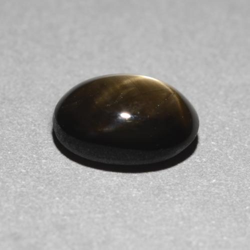 1,12 ctw natürlicher schwarzer Stern-Saphir, Oval Schliff, Lichtundurchlässig