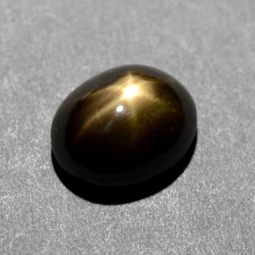 1,31 ctw natürlicher schwarzer Stern-Saphir, Oval Schliff, Lichtundurchlässig