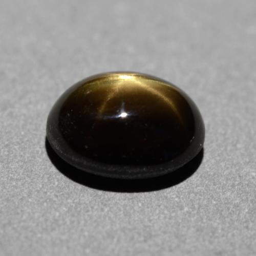 1,31 ctw natürlicher schwarzer Stern-Saphir, Oval Schliff, Lichtundurchlässig