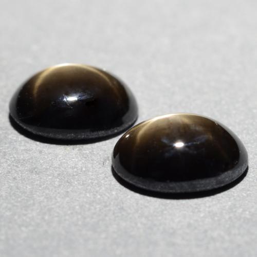 1,81 ct natürliche schwarzer Stern-Saphir-Edelsteine, Oval Schliff, Lichtundurchlässig