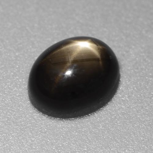 1,49 ctw natürlicher schwarzer Stern-Saphir, Oval Schliff, Lichtundurchlässig