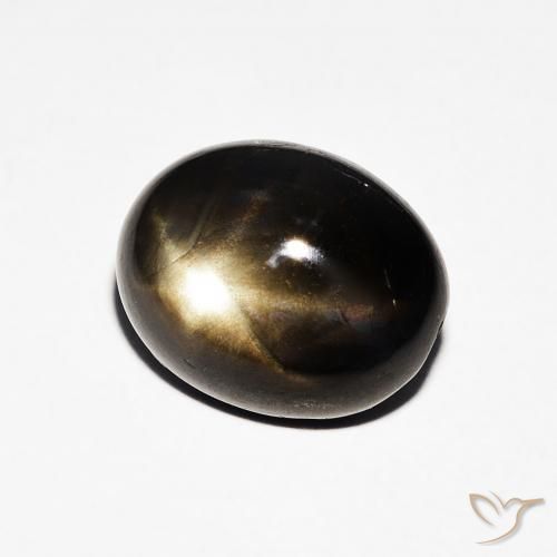 9,17 ctw natürlicher Schwarz Sternsaphir, Oval, Lichtundurchlässig