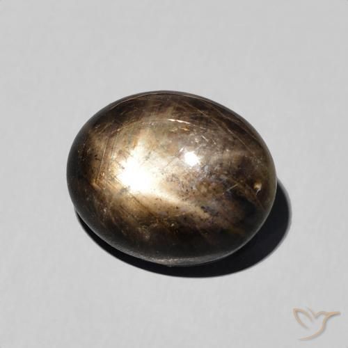 9,17 ctw natürlicher Schwarz Sternsaphir, Oval, Lichtundurchlässig