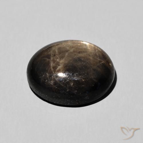 9,17 ctw natürlicher Schwarz Sternsaphir, Oval, Lichtundurchlässig