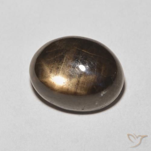 9,17 ctw natürlicher Schwarz Sternsaphir, Oval, Lichtundurchlässig