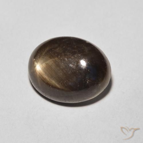 9,17 ctw natürlicher Schwarz Sternsaphir, Oval, Lichtundurchlässig