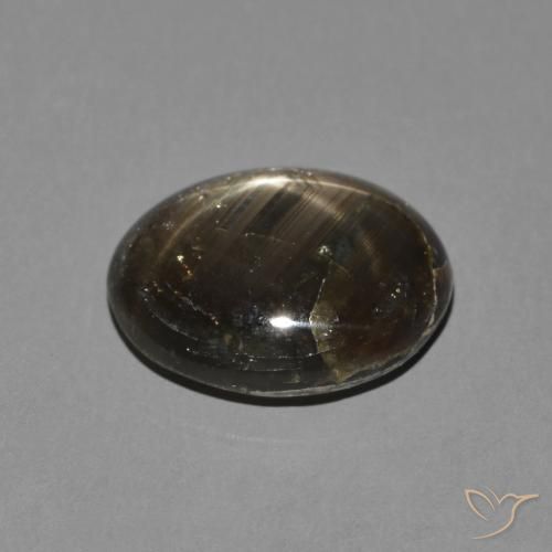 9,17 ctw natürlicher Schwarz Sternsaphir, Oval, Lichtundurchlässig