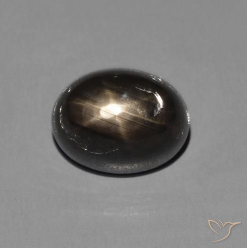 2.72ct Natürlicher Schwarz Sternsaphir, Oval, Lichtundurchlässig