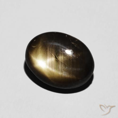 9,17 ctw natürlicher Schwarz Sternsaphir, Oval, Lichtundurchlässig
