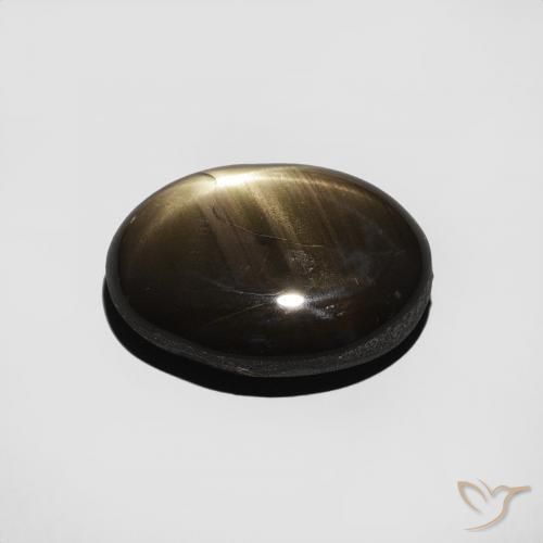 9,17 ctw natürlicher Schwarz Sternsaphir, Oval, Lichtundurchlässig