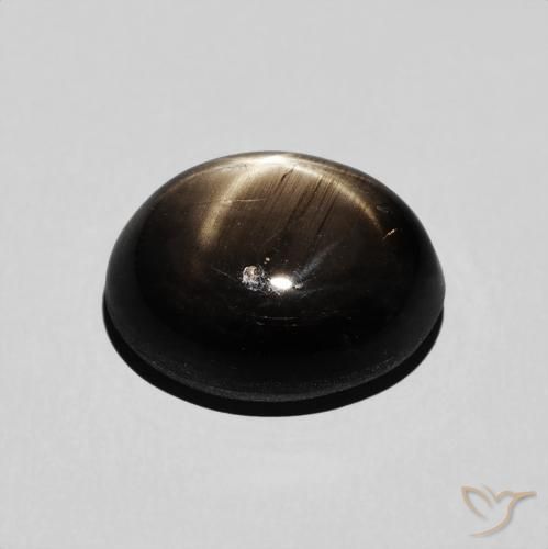 9,17 ctw natürlicher Schwarz Sternsaphir, Oval, Lichtundurchlässig