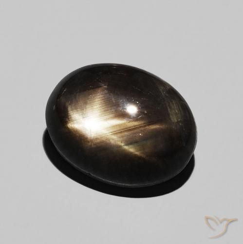 9,17 ctw natürlicher Schwarz Sternsaphir, Oval, Lichtundurchlässig