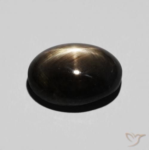 9,17 ctw natürlicher Schwarz Sternsaphir, Oval, Lichtundurchlässig