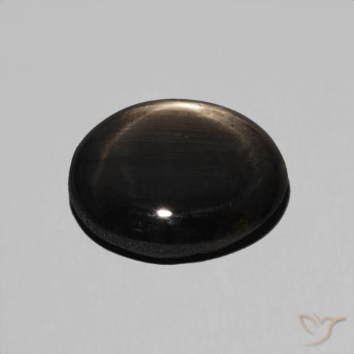 9,17 ctw natürlicher Schwarz Sternsaphir, Oval, Lichtundurchlässig
