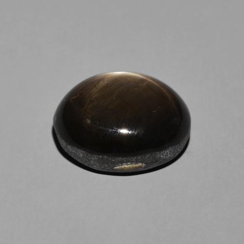 9,17 ctw natürlicher Schwarz Sternsaphir, Oval, Lichtundurchlässig