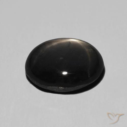9,17 ctw natürlicher Schwarz Sternsaphir, Oval, Lichtundurchlässig
