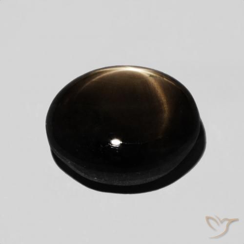 9,17 ctw natürlicher Schwarz Sternsaphir, Oval, Lichtundurchlässig