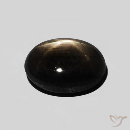 9,17 ctw natürlicher Schwarz Sternsaphir, Oval, Lichtundurchlässig