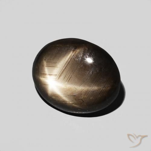 9,17 ctw natürlicher Schwarz Sternsaphir, Oval, Lichtundurchlässig