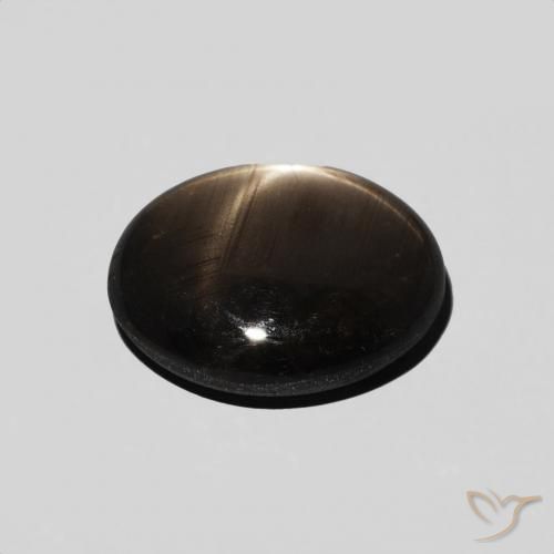 9,17 ctw natürlicher Schwarz Sternsaphir, Oval, Lichtundurchlässig