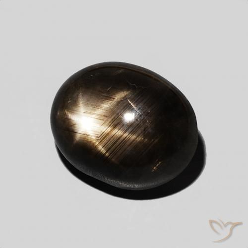 9,17 ctw natürlicher Schwarz Sternsaphir, Oval, Lichtundurchlässig
