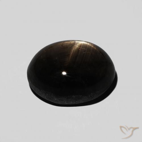 9,17 ctw natürlicher Schwarz Sternsaphir, Oval, Lichtundurchlässig