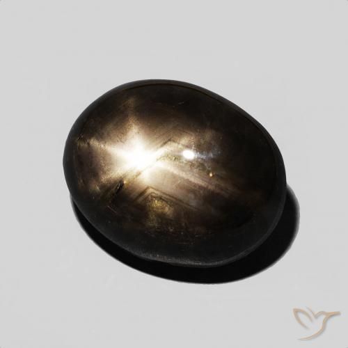 9,17 ctw natürlicher Schwarz Sternsaphir, Oval, Lichtundurchlässig