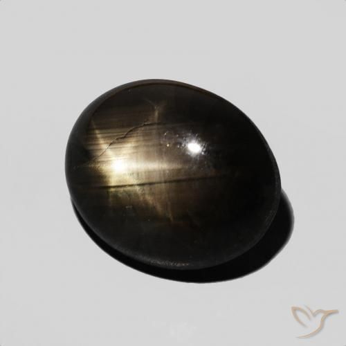 9,17 ctw natürlicher Schwarz Sternsaphir, Oval, Lichtundurchlässig