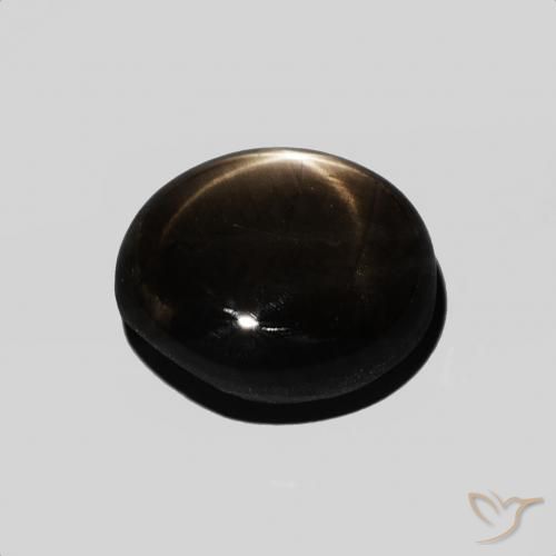 9,17 ctw natürlicher Schwarz Sternsaphir, Oval, Lichtundurchlässig