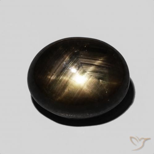 9.54ct Natürlicher Schwarz Sternsaphir, Oval, Lichtundurchlässig