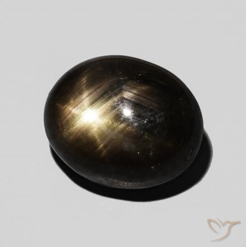 9,17 ctw natürlicher Schwarz Sternsaphir, Oval, Lichtundurchlässig
