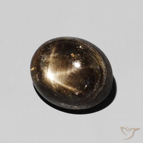 9,17 ctw natürlicher Schwarz Sternsaphir, Oval, Lichtundurchlässig