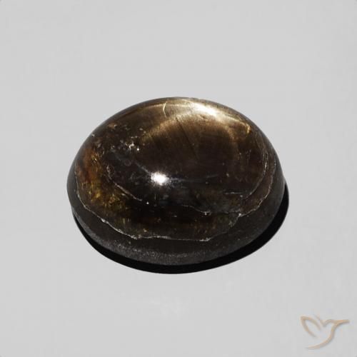 9,17 ctw natürlicher Schwarz Sternsaphir, Oval, Lichtundurchlässig