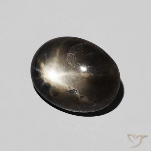 9,17 ctw natürlicher Schwarz Sternsaphir, Oval, Lichtundurchlässig