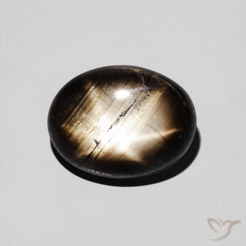 2.97ct Natürlicher Schwarz Sternsaphir, Oval, Lichtundurchlässig